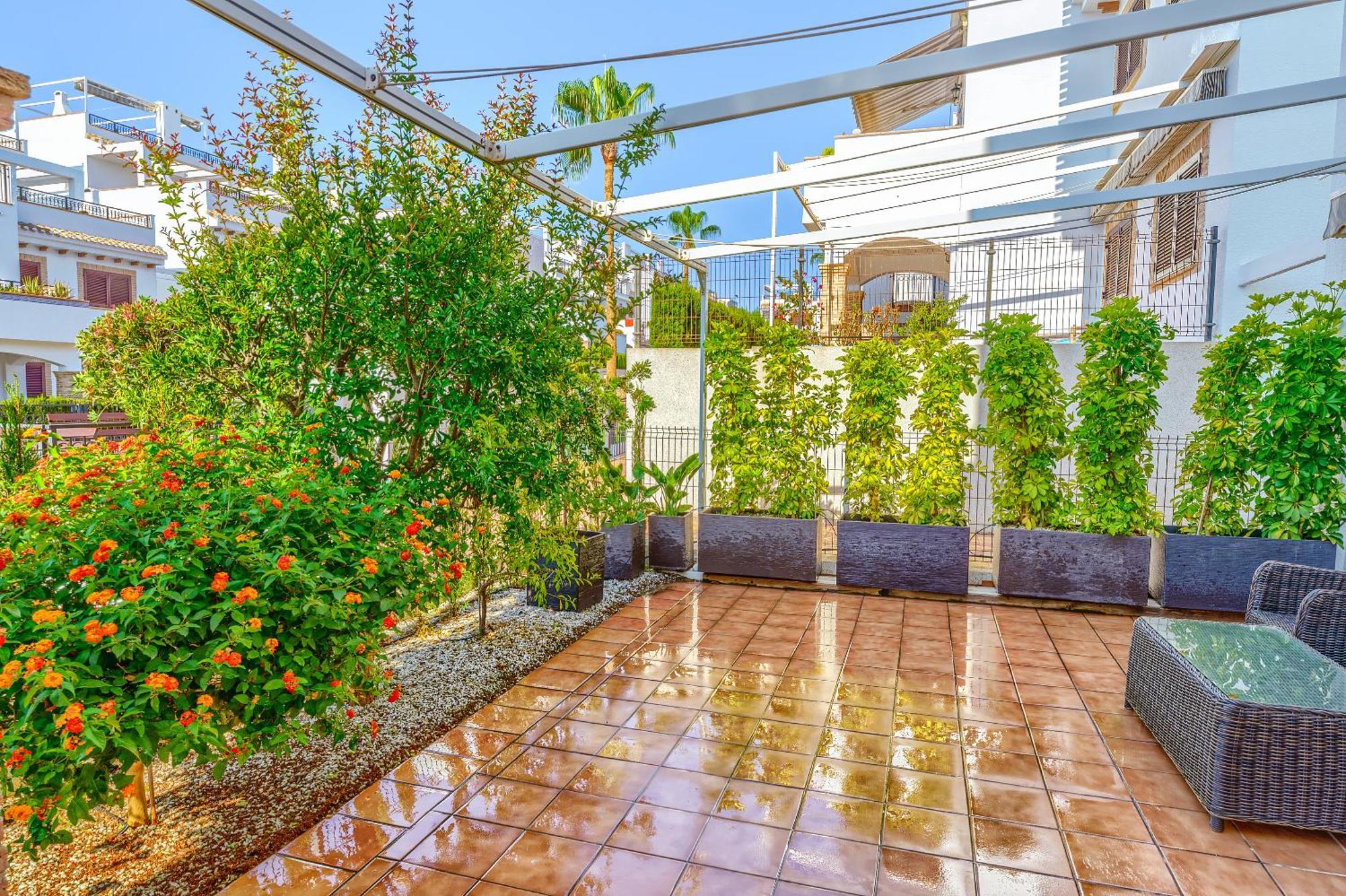 Sunny Apartments In La Mata, Azul Beach 2 Торевьиа Экстерьер фото